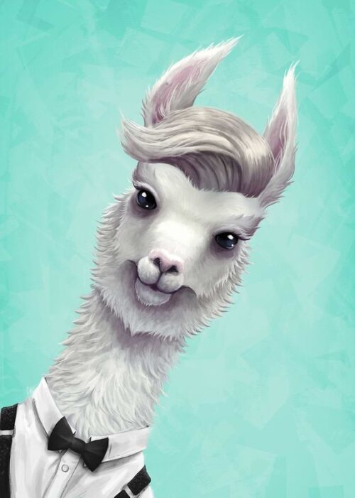 Llama questionning poster