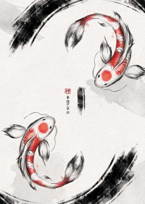 Yin yang good luck koi poster