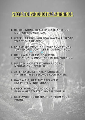 9 steps for productive mornings motivational poster.jpg