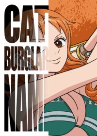 Cat burglar nami one piece poster