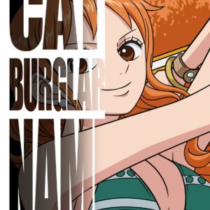Cat Burglar Nami One Piece Poster