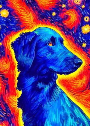 Flat coated retriever dog.jpg