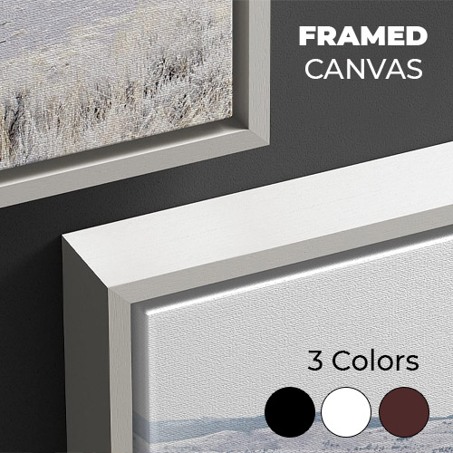 Framed Canvas