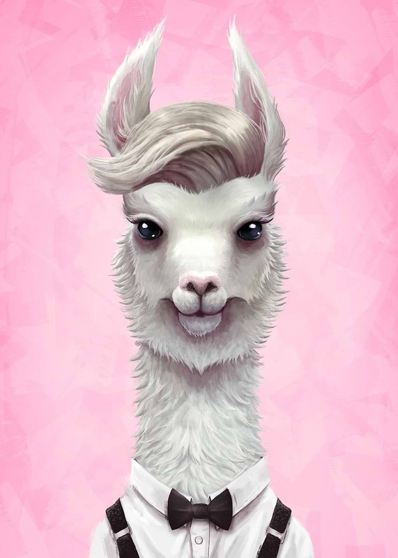 Pink llama.jpg