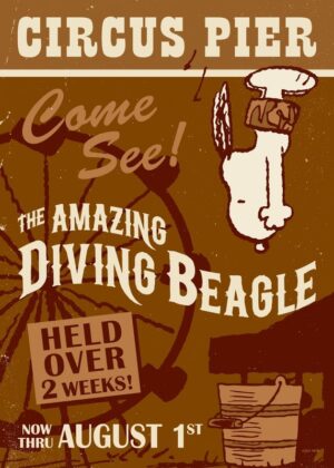 The amazing beagle.jpg