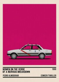 Women on the verge car poster