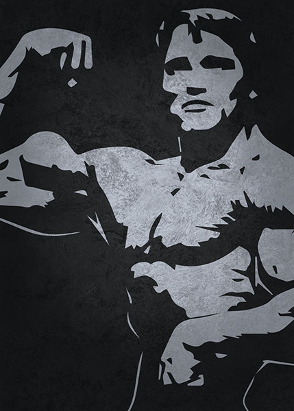 Arnold bicep iconic poster 4.jpg