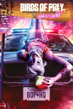 Birds of prey 2020 movie poster 2.jpg