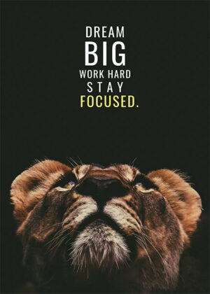 Dream bug work hard stay focused animal motivational poster.jpg