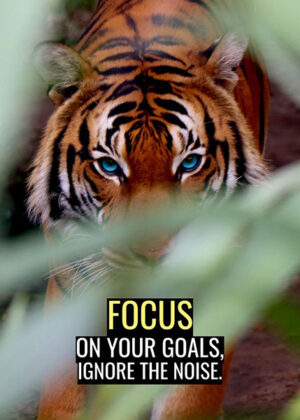 Focus on your goals ignore the noise motivational poster.jpg
