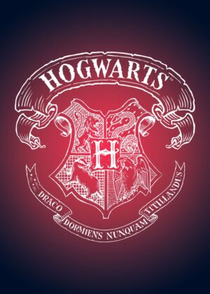 Harry potter witchcraft and wizardry poster.jpg