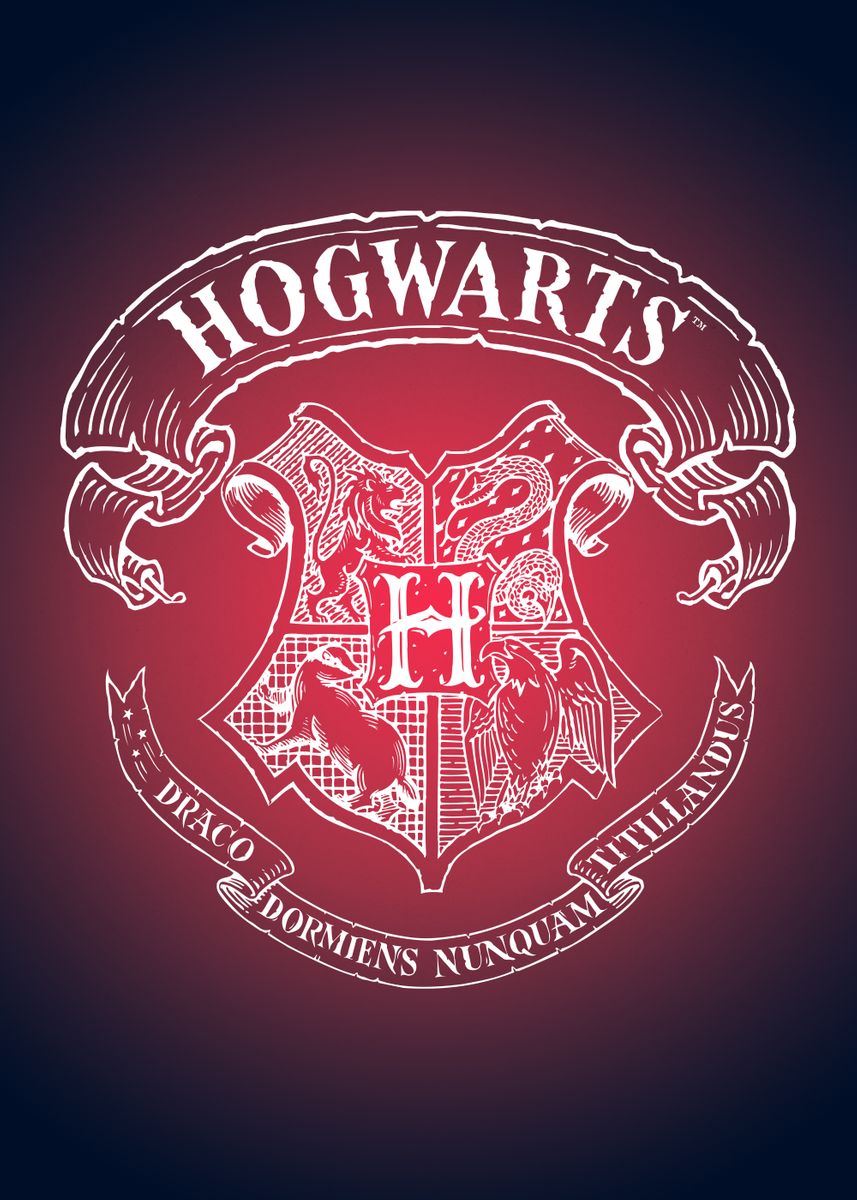 Harry potter witchcraft and wizardry poster.jpg