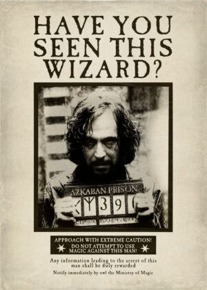 Have you seen this wizard harry potter poster.jpg