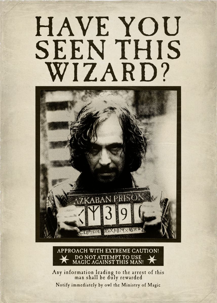 Have you seen this wizard harry potter poster.jpg