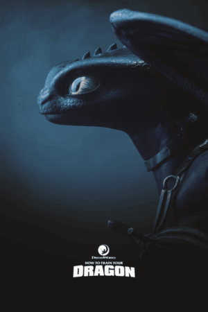 How to train your dragon 2010 poster.png