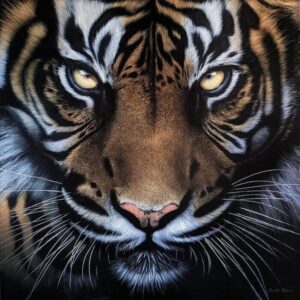 Hungry tiger poster scaled 1.jpg