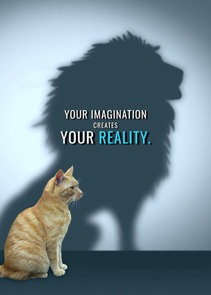 Imagination creates reality animal motivational poster.jpg