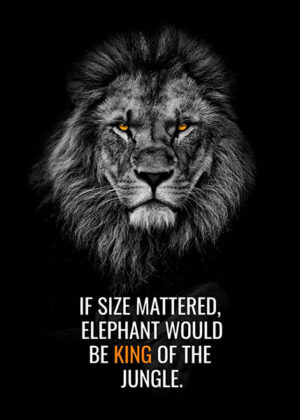 Lion is king of jungle not elephant animal motivational poster.jpg