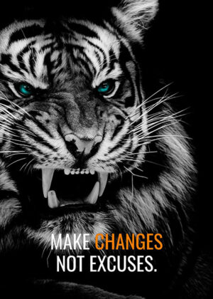 Make changes not excuses motivational poster.jpg