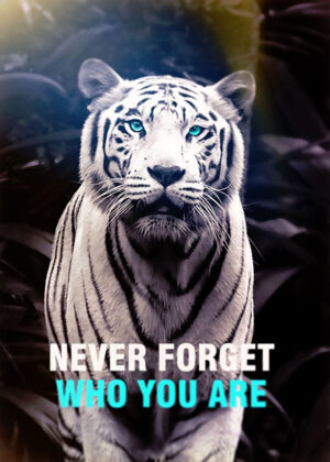 Never forget who you are animal motivational poster.jpg