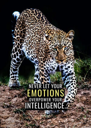 Never let your emotions overpower your intelligence animal motivational poster.jpg
