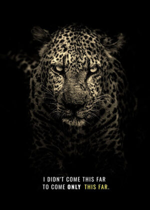 Never settle motivational poster.jpg