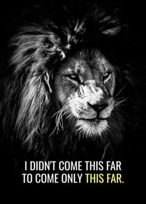 Never stop animal motivational poster.jpg