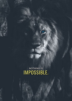 Nothing is impossible animal motivational poster 2.jpg