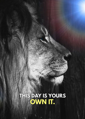 Own your day animal motivational poster.jpg