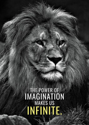 Power of imagination makes us infinite animal motivational poster.jpg