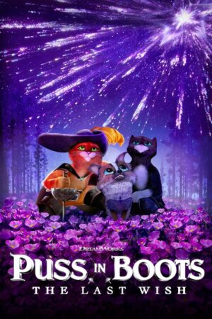 Puss in boots the last wish 2022 movie poster 3.jpg