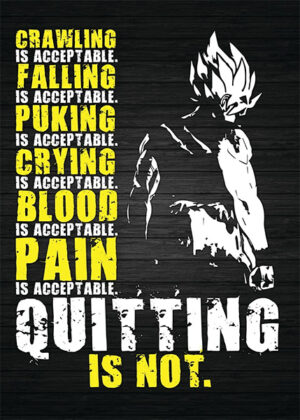 Quitting is not acceptable motivational dragon ball poster 4.jpg