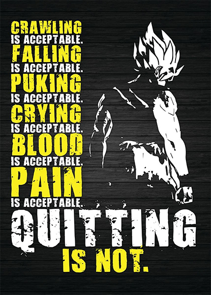 Quitting is not acceptable motivational dragon ball poster 4.jpg