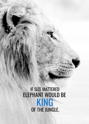 Size doesnt matter to be a king motivational poster.jpg