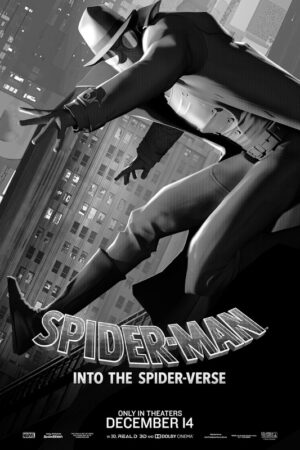 Spider man into the spider verse 2018 movie poster 14.jpg