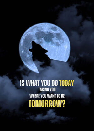 Start now to shape your tomorrow animal motivational poster.jpg