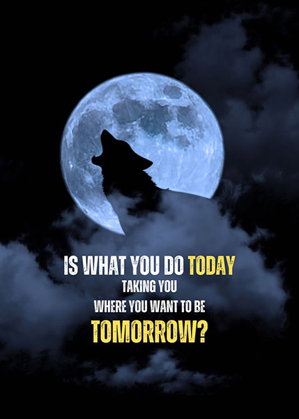 Start now to shape your tomorrow animal motivational poster.jpg