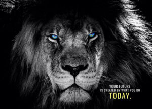 Success starts now or never animal motivational poster.jpg