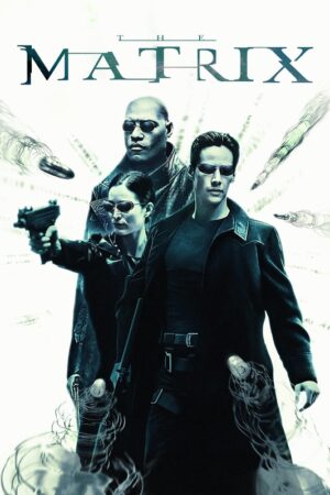 The matrix 1999 movie poster 8.jpg