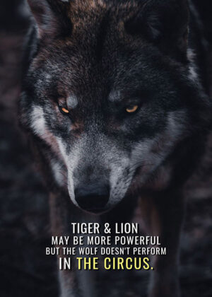 Tiger lion and wolf animal motivational poster 2.jpg