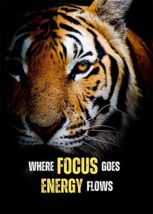 Where focus goes energy flows animal motivational poster.jpg