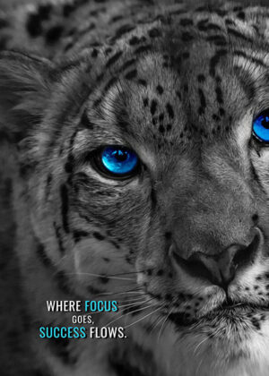 Where focus goes success flows animal motivational poster.jpg